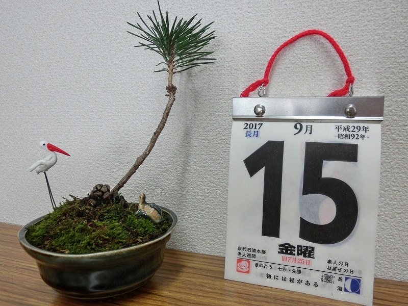 9月15日は 老人の日 です 介護福祉士の資格取得 介護士養成なら 吉川福祉専門学校 埼玉県吉川市